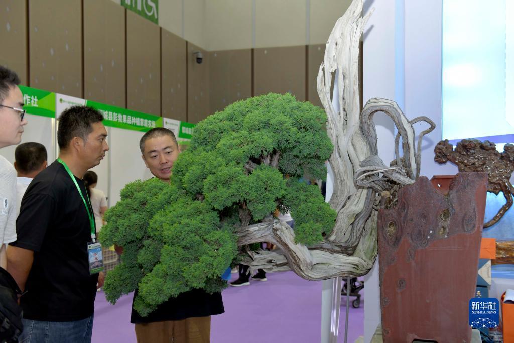 捕鱼达人3